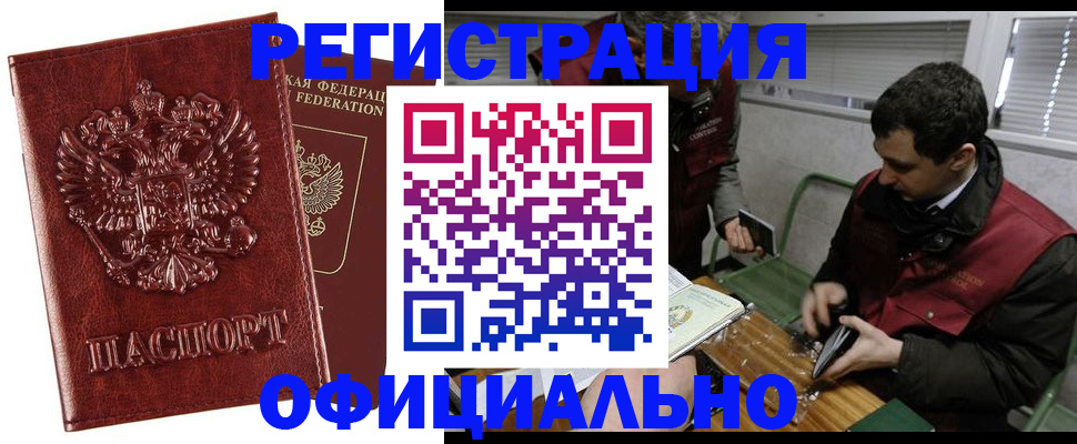 прописка в Сольцах